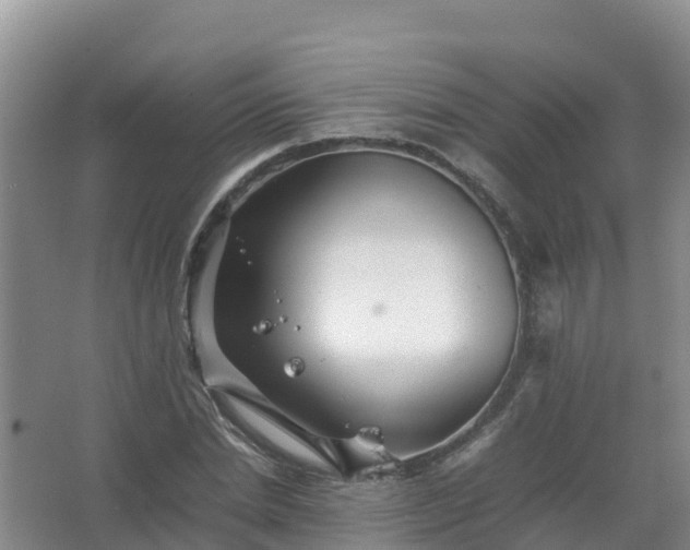 X0000067460830200604142322