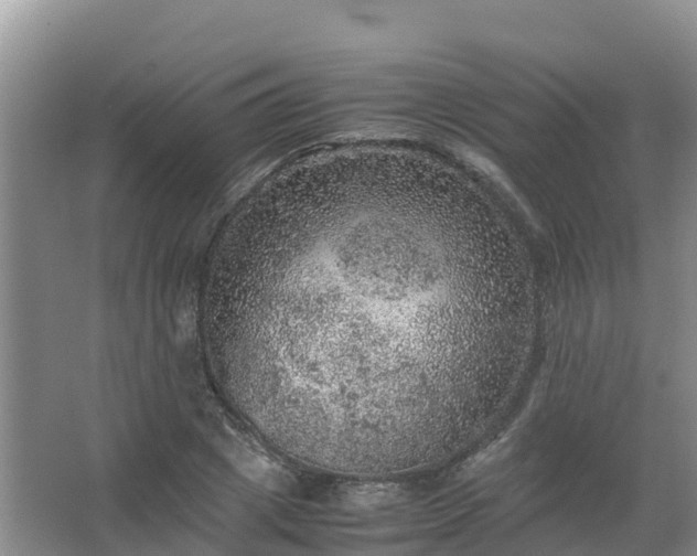 X0000067460833200604142322