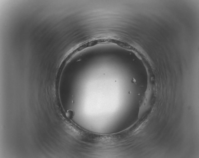 X0000067460834200604142322