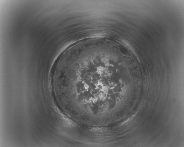 X0000067460835200604142322