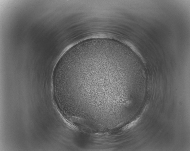 X0000067460837200604142322