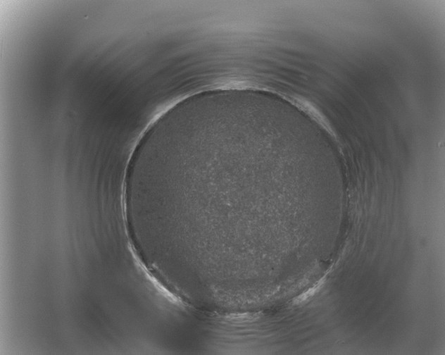 X0000067460839200604142322