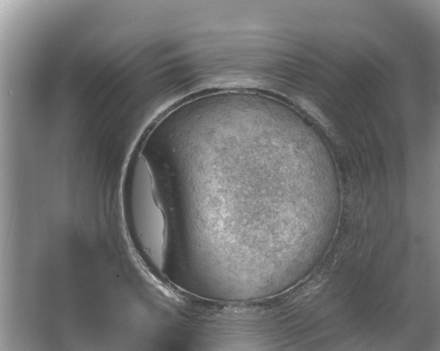 X0000067460840200604142322