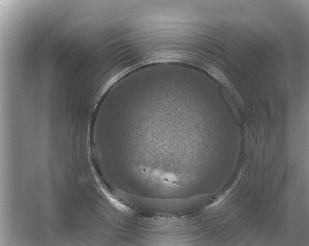 X0000067460842200604142322