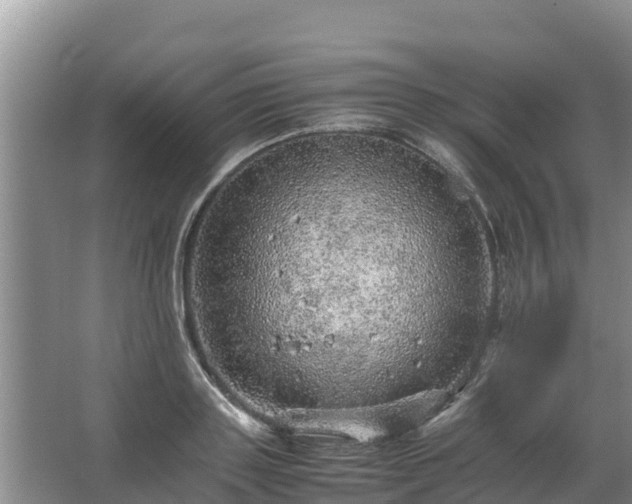 X0000067460843200604142322