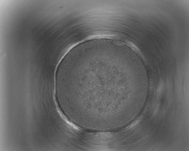 X0000067460844200604142322