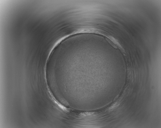 X0000067460846200604142323