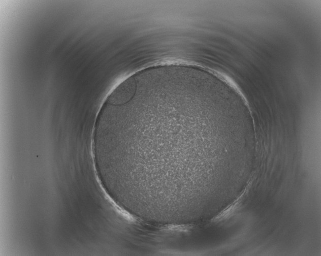 X0000067460847200604142323