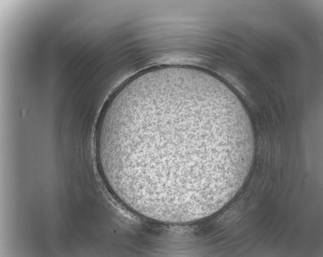 X0000067460848200604142323