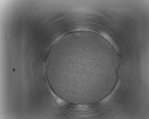 X0000067460849200604142323