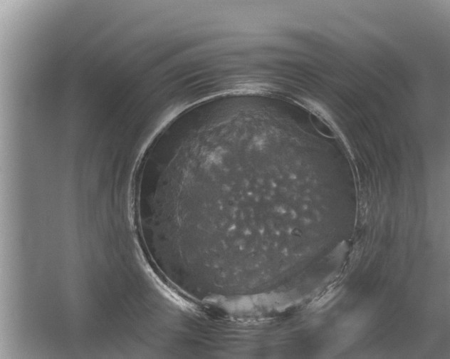 X0000067460851200604142323