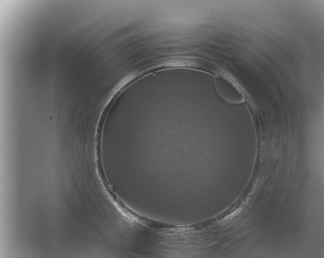 X0000067460853200604142323