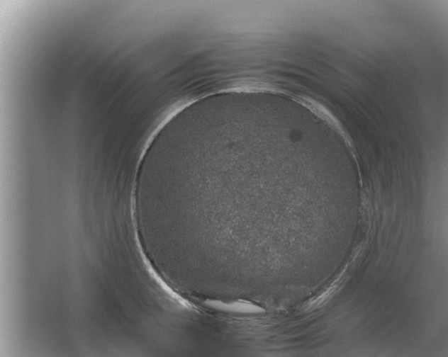 X0000067460855200604142323