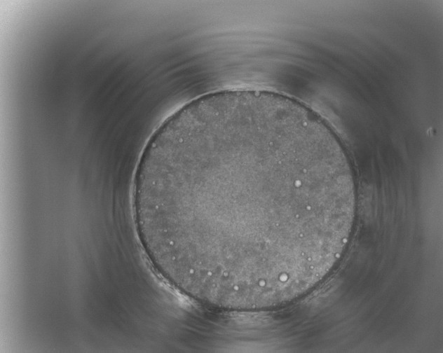 X0000067460856200604142323