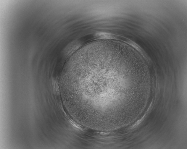 X0000067460857200604142323