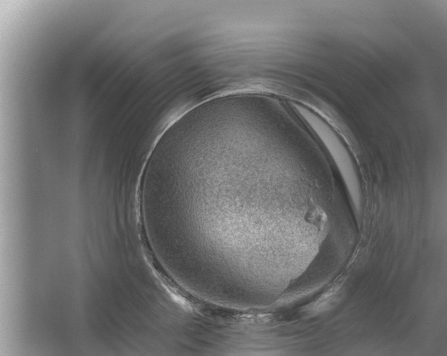 X0000067460858200604142323