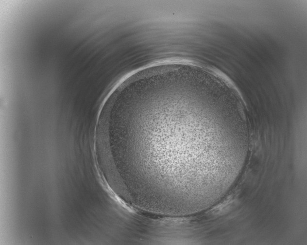 X0000067460860200604142323