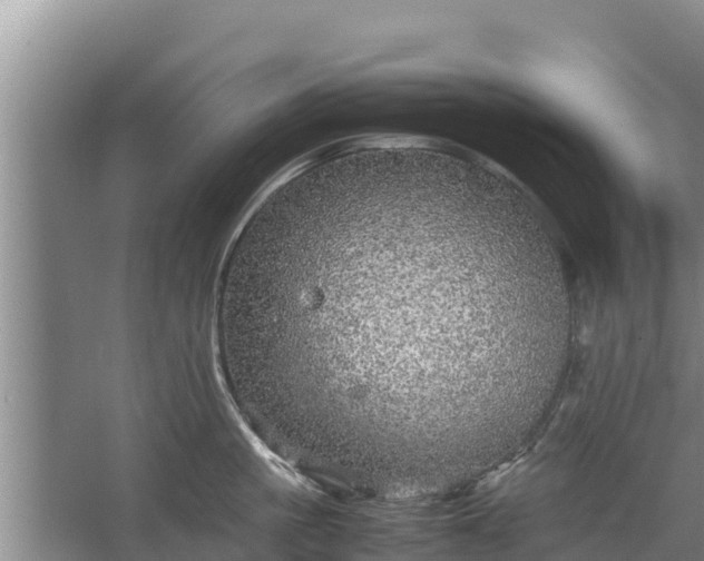 X0000067460861200604142323