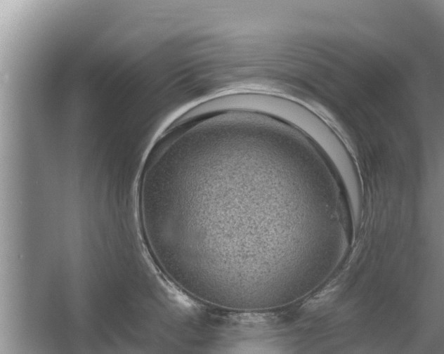 X0000067460862200604142323