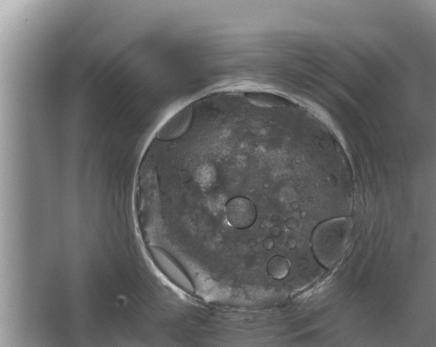 X0000067460863200604142323