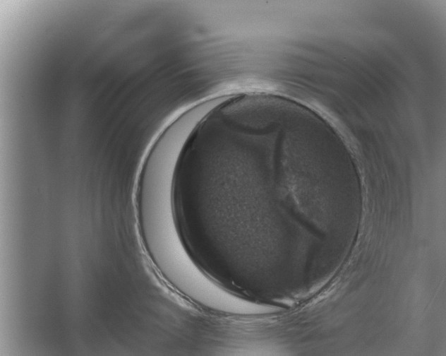 X0000067460864200604142323