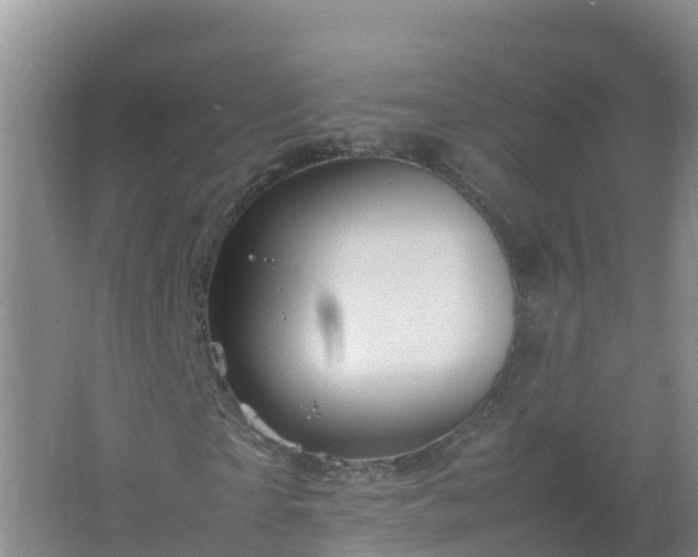 X0000067460865200604142322