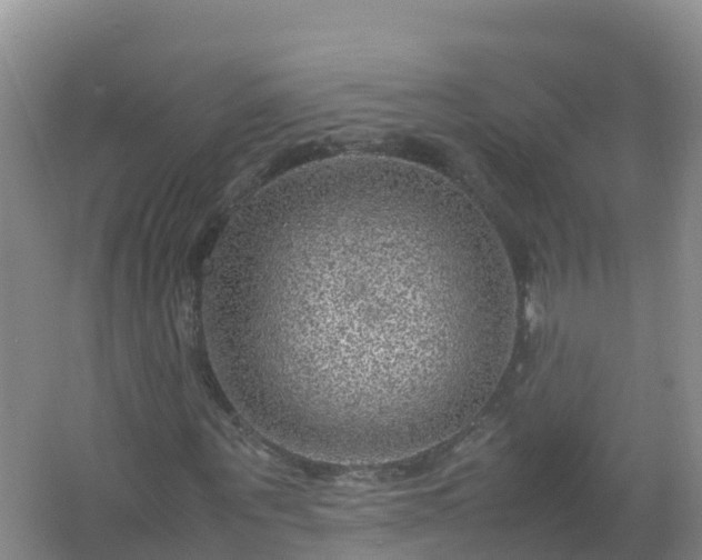 X0000067460867200604142322