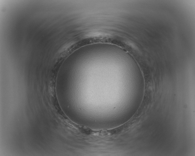 X0000067460869200604142322