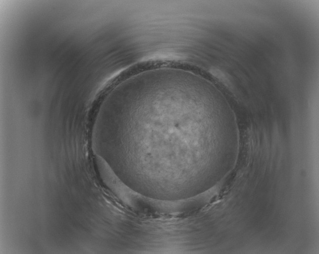 X0000067460872200604142322