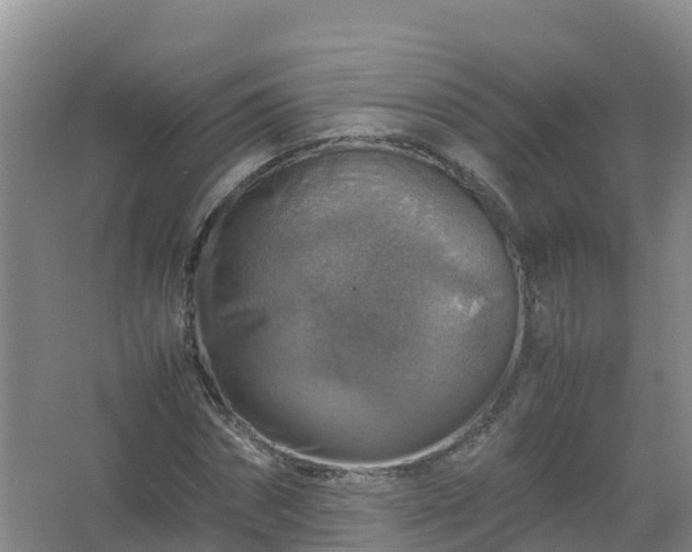 X0000067460874200604142322