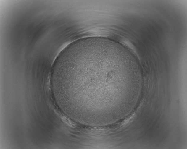 X0000067460875200604142322