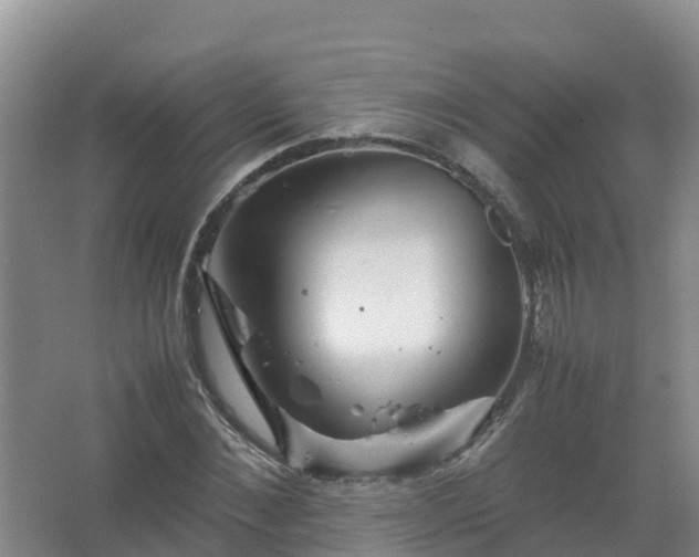 X0000067460876200604142322