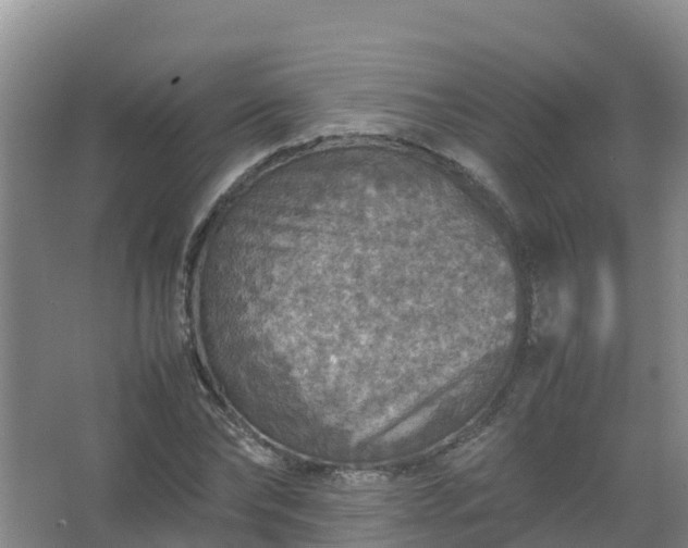 X0000067460878200604142322