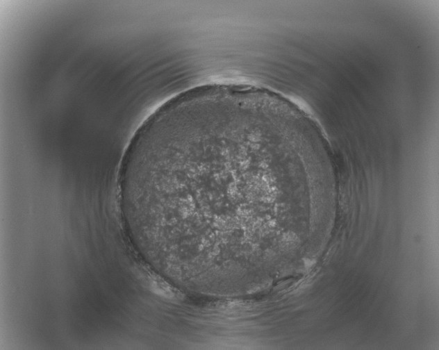 X0000067460879200604142322