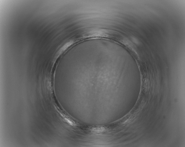 X0000067460882200604142322