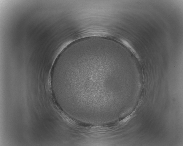 X0000067460883200604142322