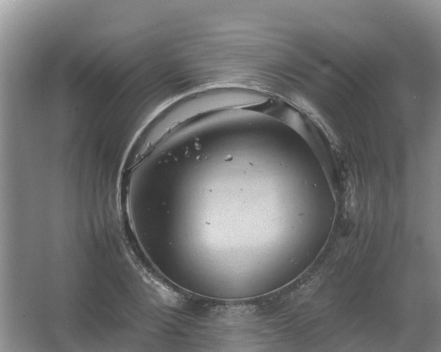 X0000067460884200604142322