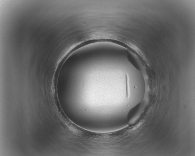 X0000067460885200604142322