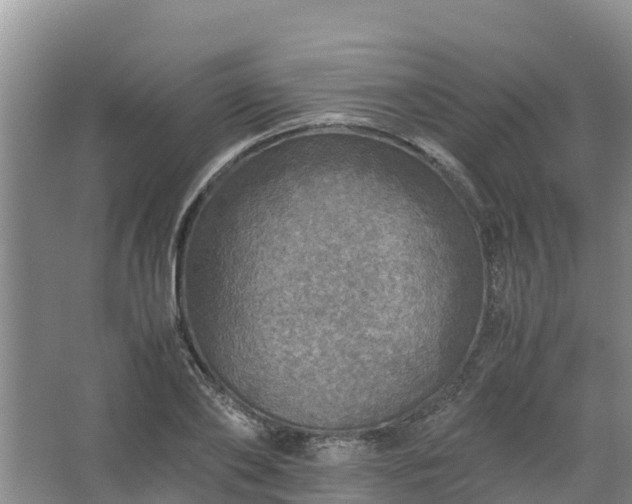 X0000067460886200604142322