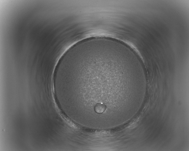 X0000067460887200604142322