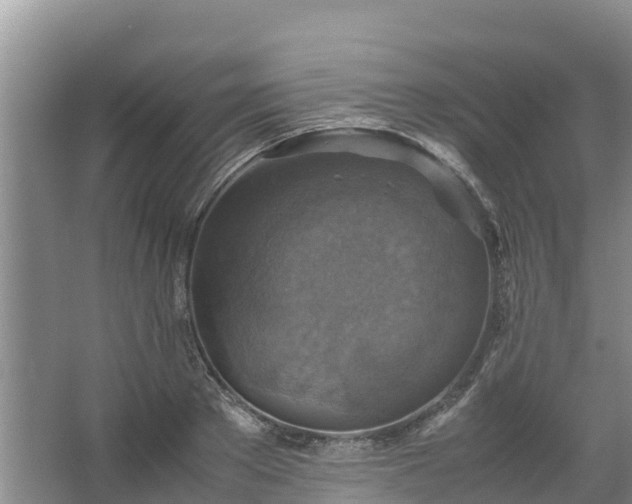 X0000067460889200604142322