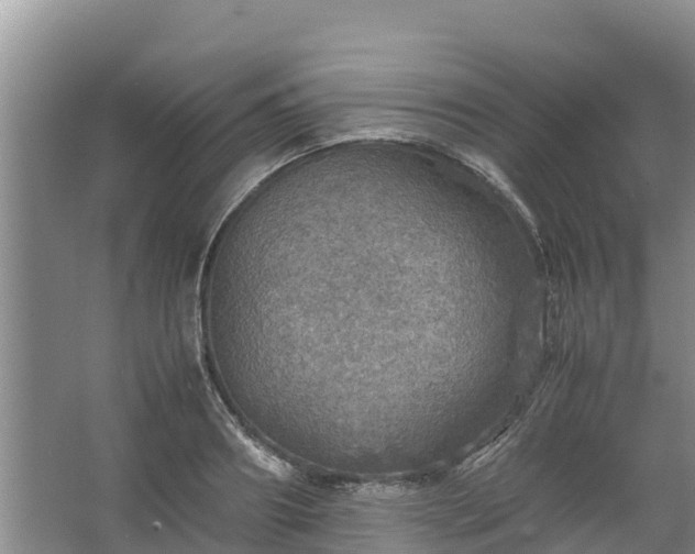 X0000067460890200604142322