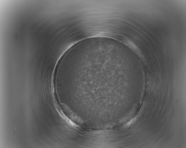 X0000067460892200604142322