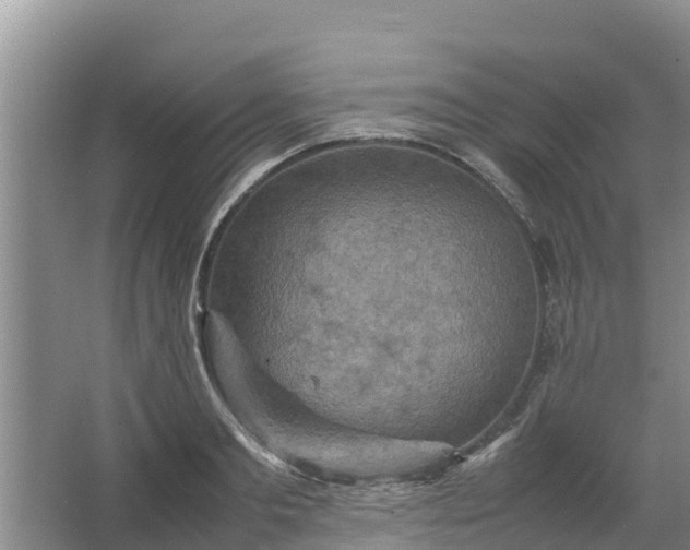 X0000067460893200604142322