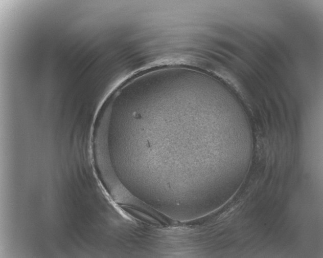 X0000067460894200604142322