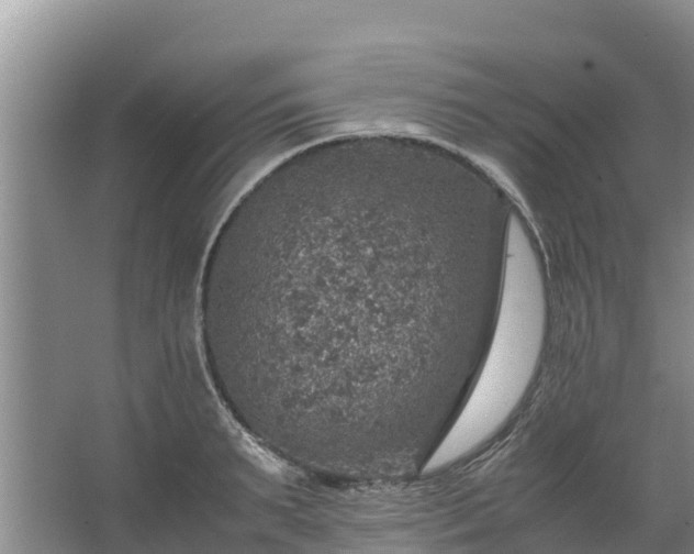 X0000067460895200604142321