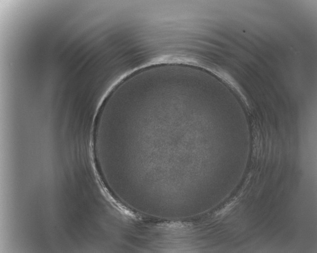 X0000067460896200604142321