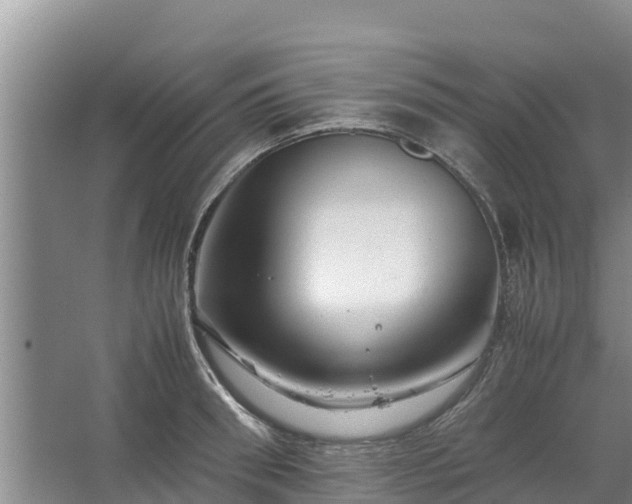 X0000067460898200604142321