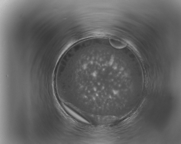 X0000067460899200604142321