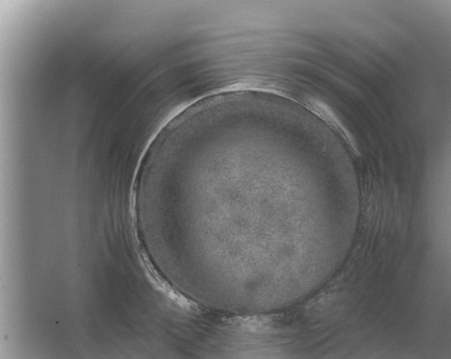 X0000067460900200604142321